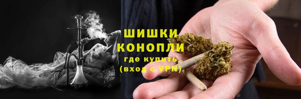 PSILOCYBIN Бугульма