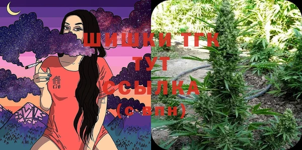 PSILOCYBIN Бугульма