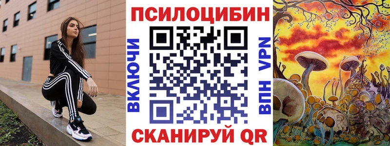 Псилоцибиновые грибы Psilocybine cubensis мега Александровское